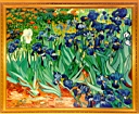 Irises by van Gogh (1889)